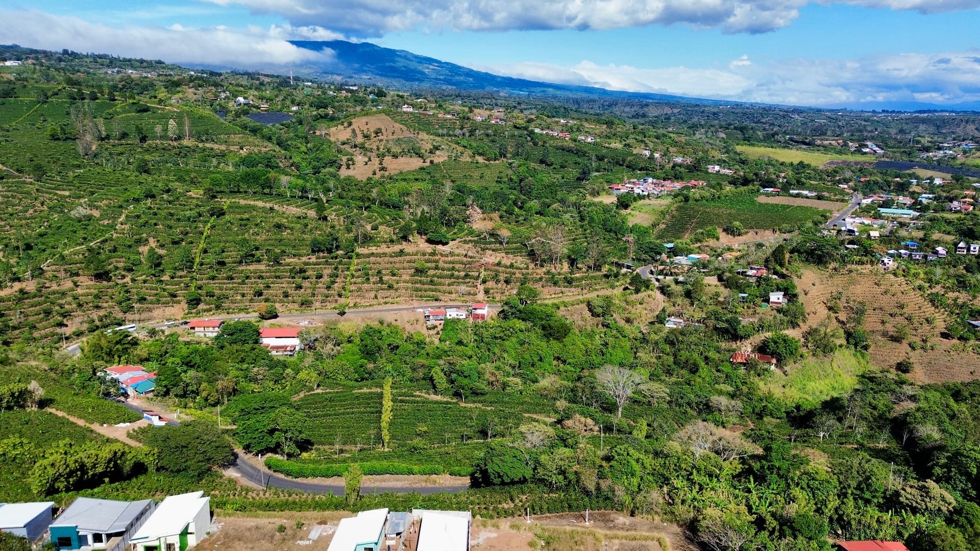 T-POA-001 Terreno con alto potencial residencial y comercial en la zona de Poás de Alajuela
