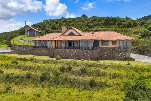Espacio acondicionado para vivir con mascotas con gran zona verde